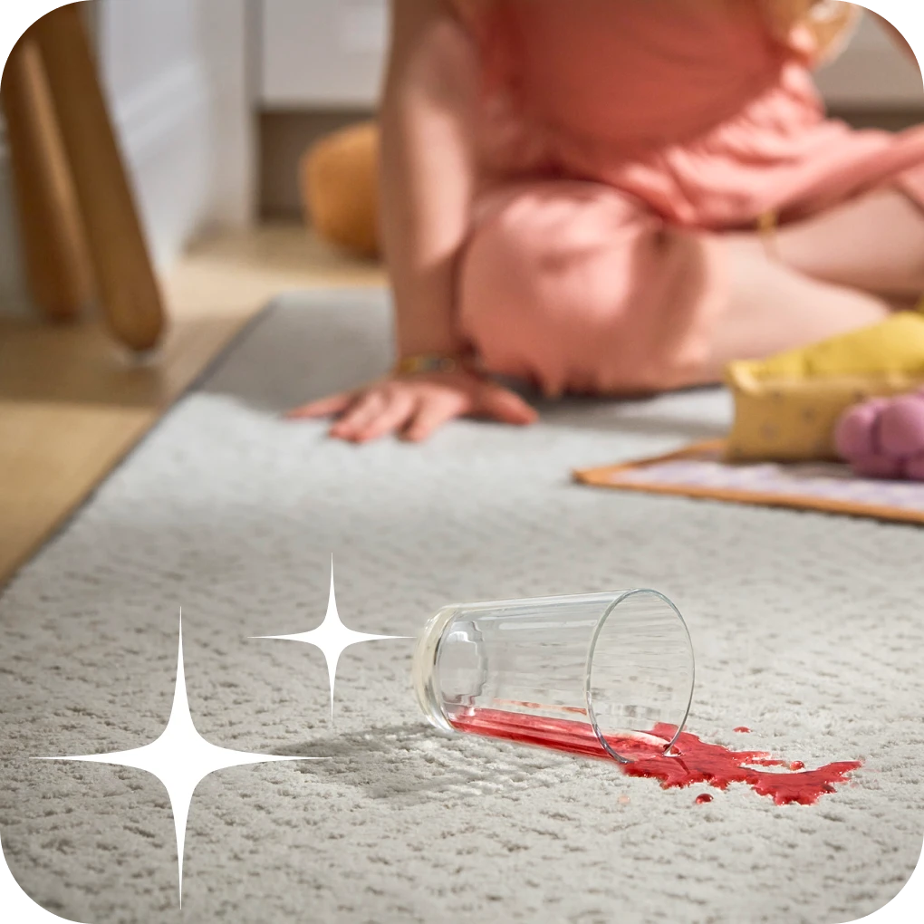 Area rug cleaning