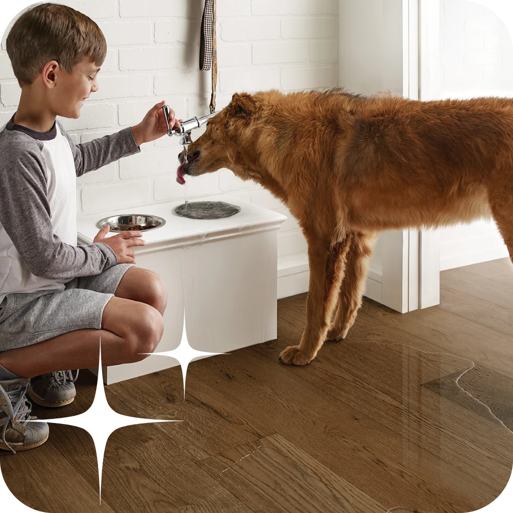 Dog drinking tap water