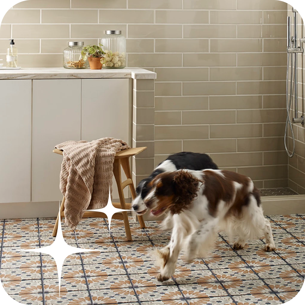 Dogs running on tile flooring | Lloyd's Carpets & Draperies